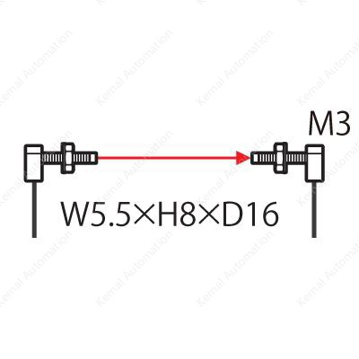 FT-31W